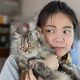 Cara Melatih Kucing agar Jadi Penurut (1)