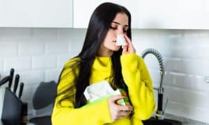 makanan untuk meredakan flu